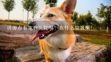 济源市有宠物医院吗？在什么位置啊！,长沙哪里有给狗接种狂犬疫苗的地方？？？