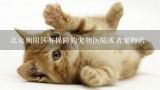 北京朝阳区有保障的宠物医院或者宠物店,上海虹口区附近有没有好的专业负责的宠物医院？