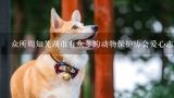 众所周知芜湖市有众多的动物保护协会爱心志愿者和专业的宠物医院芜湖拥有哪些专业宠物医院?