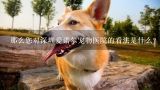 那么您对深圳爱诺尔宠物医院的看法是什么?