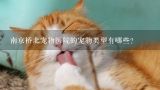 南京桥北宠物医院的宠物类型有哪些?