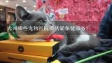 无锡哪些宠物医院提供猫保健服务?