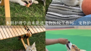 本科护理学出来能进宠物医院工作吗，宠物护士待遇如何？