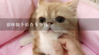 猫咪做个检查多少钱？