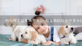 狗狗得了急性肠胃炎,1般宠物医院治疗多少钱？