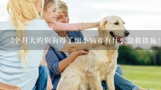 2个月大的狗狗得了细小病毒有什么急救措施？到宠物医院去治疗费用大概是多少？