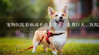 宠物医院看病动不动几千元，花费巨大，医院为何“任性”收费？