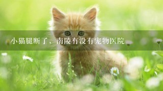 小猫腿断了，南陵有没有宠物医院