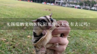 无锡瑞鹏宠物医院阳光分院大家有去过吗？