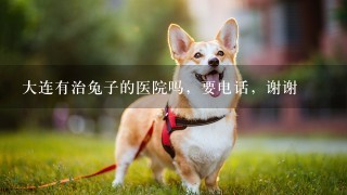 大连有治兔子的医院吗，要电话，谢谢