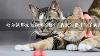 哈尔滨那家宠物医院好？ 我家的猫咪的了病毒性肠炎 打针大概需要多少钱？