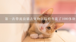 第1次带流浪猫去宠物医院检查花了1000多块钱正常吗？