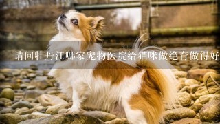 请问牡丹江哪家宠物医院给猫咪做绝育做得好？我家喵是姑娘 大概多少钱啊？我是学生没有多少钱 拜托各位了