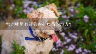 常州哪里有帮狗狗打疫苗的地方？