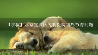 【求救】北京宣武区宠物医院猫咪节育问题