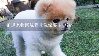 正规宠物医院猫咪洗澡要多少钱?