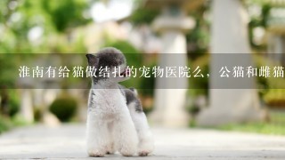 淮南有给猫做结扎的宠物医院么，公猫和雌猫多少钱啊