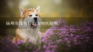 扬州有没有好的宠物医院啊？