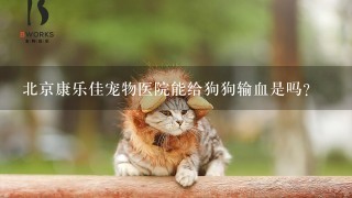 北京康乐佳宠物医院能给狗狗输血是吗？