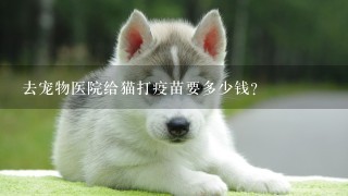 去宠物医院给猫打疫苗要多少钱?