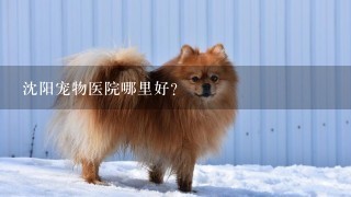 沈阳宠物医院哪里好？