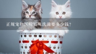 正规宠物医院猫咪洗澡要多少钱?