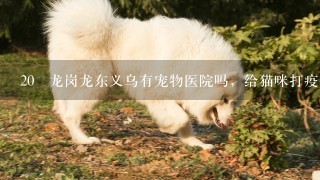 20 龙岗龙东义乌有宠物医院吗，给猫咪打疫苗，多少钱？