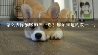 怎么去除猫咪的黑下巴？麻烦知道的教1下。