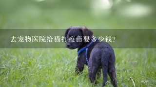 去宠物医院给猫打疫苗要多少钱?