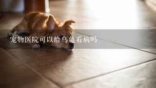 宠物医院可以给乌龟看病吗