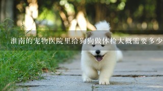 淮南的宠物医院里给狗狗做体检大概需要多少钱？