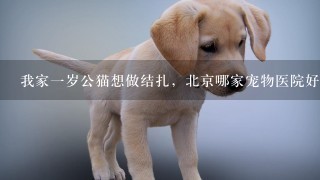 我家1岁公猫想做结扎，北京哪家宠物医院好1点？价格大概是多少？