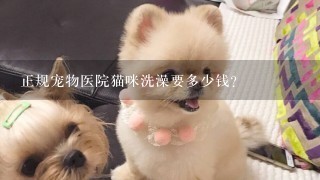 正规宠物医院猫咪洗澡要多少钱?