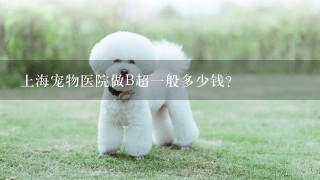 上海宠物医院做B超1般多少钱？