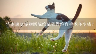 济南康复宠物医院给猫猫做绝育手术多少钱？