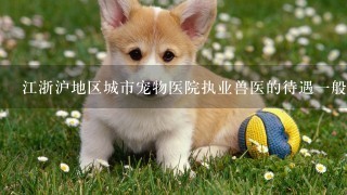 江浙沪地区城市宠物医院执业兽医的待遇1般是多少？