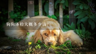 狗狗体检大概多少钱？