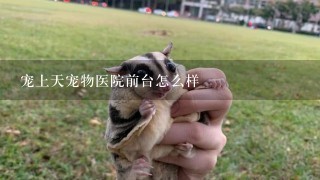 宠上天宠物医院前台怎么样