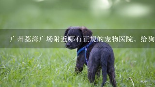 广州荔湾广场附近哪有正规的宠物医院，给狗打疫苗要