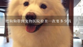 把狗狗带到宠物医院检查1次要多少钱