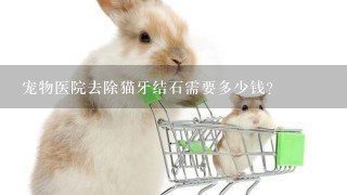 宠物医院去除猫牙结石需要多少钱?