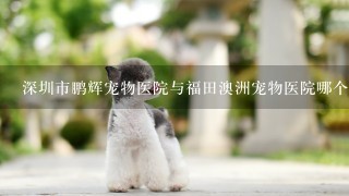 深圳市鹏辉宠物医院与福田澳洲宠物医院哪个好