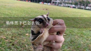 猫咪黑下巴怎么治