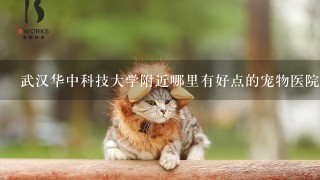 武汉华中科技大学附近哪里有好点的宠物医院?猫咪母猫绝育的1干费用大概多少?