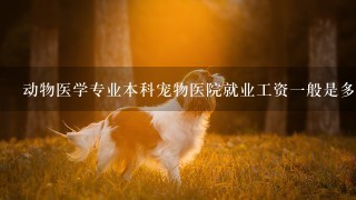 动物医学专业本科宠物医院就业工资1般是多少？