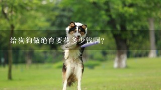 给狗狗做绝育要花多少钱啊？