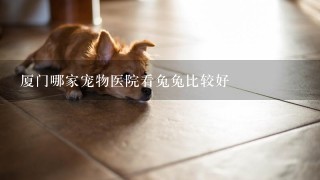 厦门哪家宠物医院看兔兔比较好