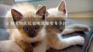 正规宠物医院猫咪洗澡要多少钱?