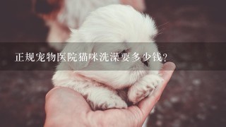 正规宠物医院猫咪洗澡要多少钱?