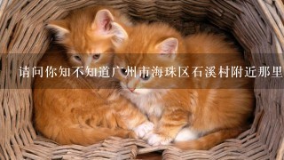 请问你知不知道广州市海珠区石溪村附近那里有宠物医院？我想带家里的猫去体检！
